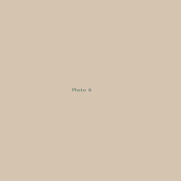 Test photo A